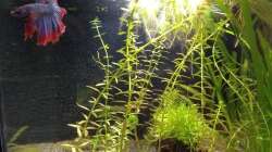 von der Seite 09.07.18