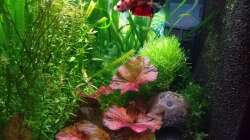 linke Seite mit Moritz 09.01.19