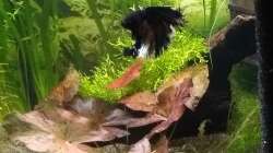 09.07.18 linke Seite