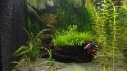 09.07.18 rechte Seite