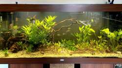 Aquarium JUWEL RIO 450