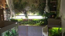 Einblick ins jetzige Zimmer