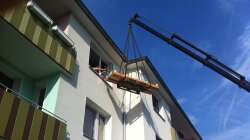 Aquarium Elefanten mit Gesellschaft