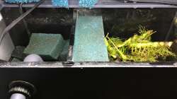 4-Kammer-Innenfilter