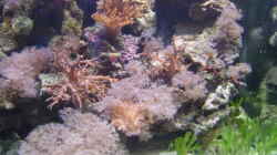 Aquarium rechts