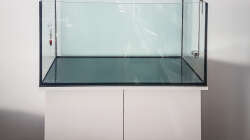 Aquarium Tommys' Scape