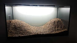 Aquarium Tommys' Scape