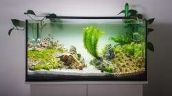 1. Tag nach Neueinrichtung