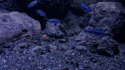 Bereich Boden Beckenmitte