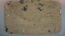 Der Bodengrund von Kawanga Rocks - Original Probe aus dem See