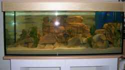 Aquarium Becken 3719