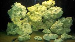 Aquarium Juwel Trigon 350 Eck Aq