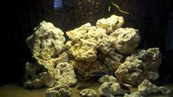 Aquarium Juwel Trigon 350 Eck Aq