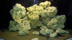 Dekoration im Aquarium Juwel Trigon 350 Eck Aq