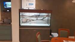 Aquarium Gewässer um Sarayaku