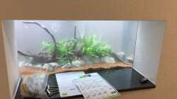 Aquarium Aquarium Projekt