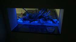 Aquarium Aquarium Projekt