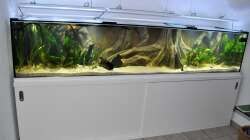 Aquarium Büro 290