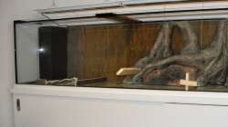 Dekoration im Aquarium Büro 290