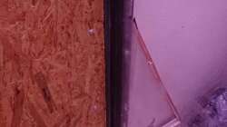 erste Wände werden verkleidet