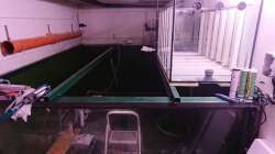 kurz vor der Befüllung