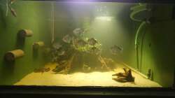 Wenn die komplette Beleuchtung an ist.