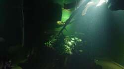 ich liebe diese Lichteffekte