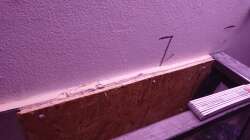 Aquarium Kellerpfütze