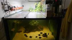 Komplette Ansicht des Beckens