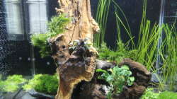 Direkt nach dem Befüllen