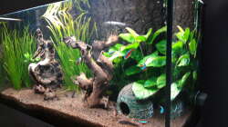 Gesamt_seitlich_20190304