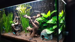 Gesamt_seitlich_20190219