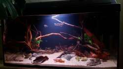 Aquarium Keep It Simple