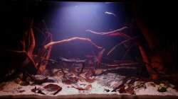 Aquarium Keep It Simple