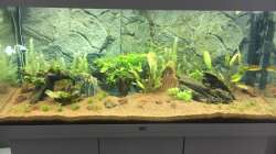 Wasserwechsel 2 (20%)