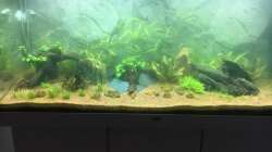 Beginn der 1. Wassertrübung 