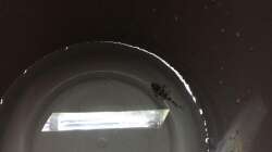 Eingewöhnung an das neue Zuhause... 