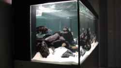 Aquarium Becken 3788