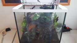 Pflanzen sind gesetzt....Wasser kann kommen!