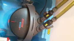 Technik im Aquarium Kleines Gesellschaftsbecken