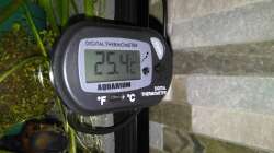 No Name digitales Außenthermometer