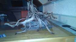 1. Stufe der Schieferterasse nach Fertigstellung.