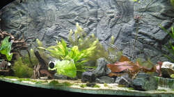 Aquarium Marco's Schieferbruch