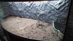 Substrat und erste Terrasse mit schwarzem Kies eingefüllt nach Reinigung des Beckens.