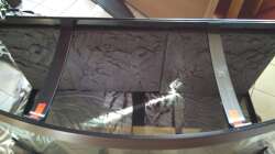 Draufsicht aufs Becken. Die Rückwand hat mir der Verkäufer schon eingeklebt und