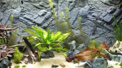 Aquarium Marco's Schieferbruch