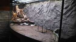 Schieferberg rein und hoffen dass der Hang nicht abrutscht beim Einfüllen des Wassers.