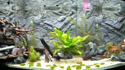 Aquarium Marco's Schieferbruch