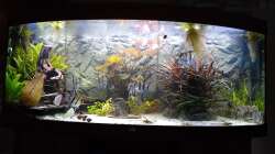 Nach 2 Jahren, frisch gegärtnert