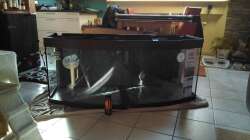 Dann kam das Becken mit Direktanlieferung vom Laden aus Dortmund.